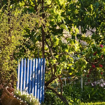 Case de vacanță Agathi *