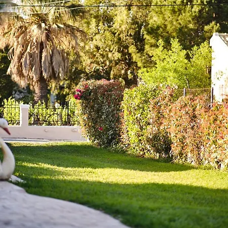 Agathi * Roda (Corfu)