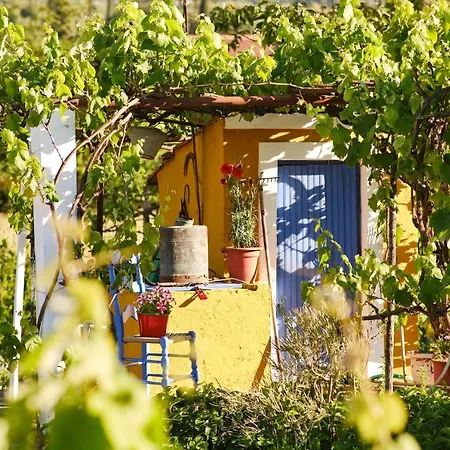 Casa vacanze Agathi *